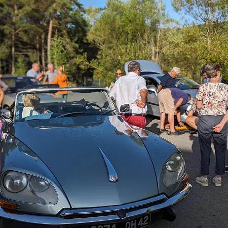 Otel Domaine De L'adoux 3*