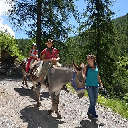 Domaine De L'adoux Отель
