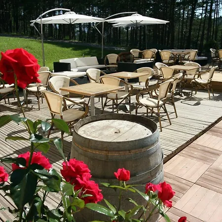 Domaine De L'adoux Hotel