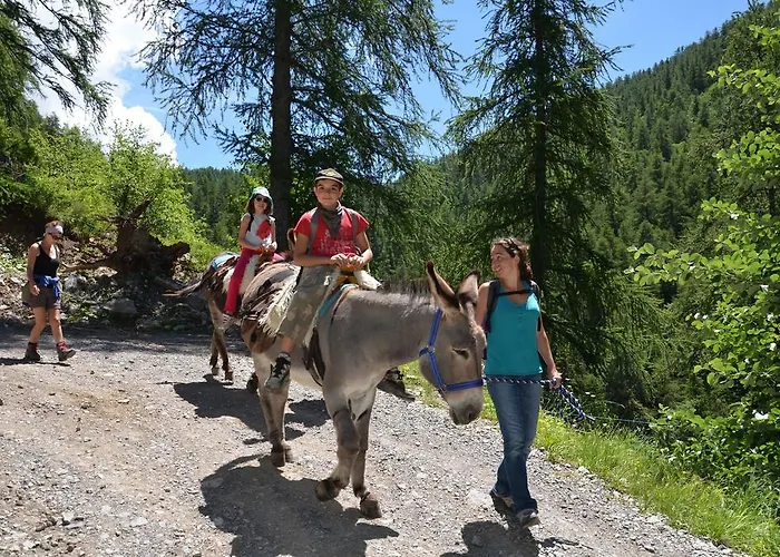 Domaine De L'adoux Hotel